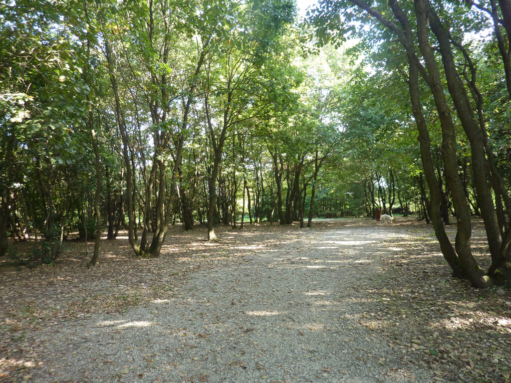 Chemin d'accès aux terrains