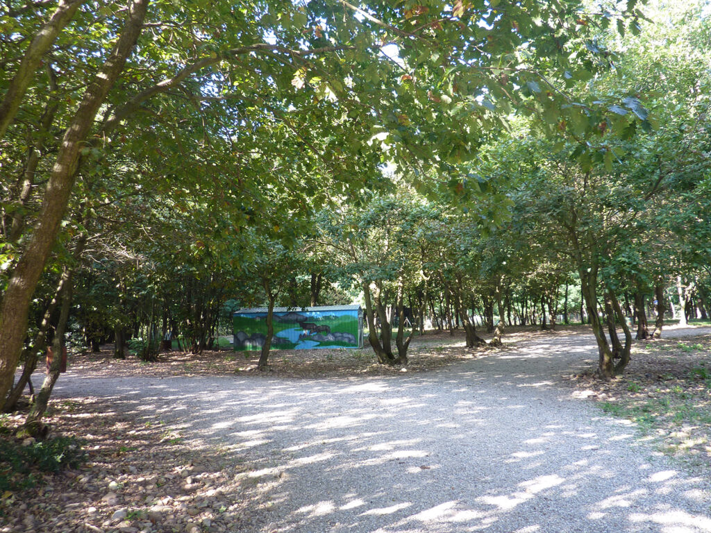 Chemin d'accès aux terrains