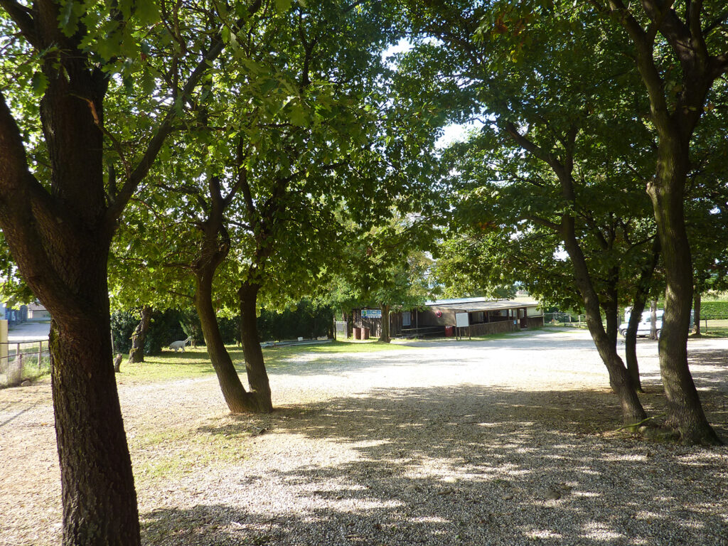 Chemin d'accès au bungalow